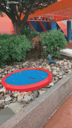 Bewegter Picturedump 491