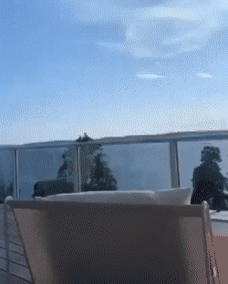 Bewegter Picturedump 491