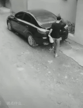 Bewegter Picturedump 491