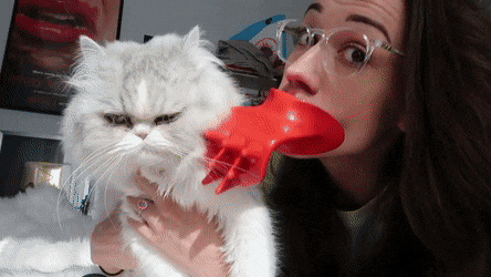 Bewegter Picturedump 491