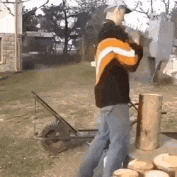 Bewegter Picturedump 491