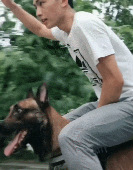 Bewegter Picturedump 491