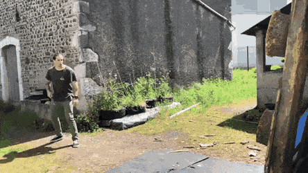 Bewegter Picturedump 491