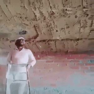 Bewegter Picturedump 491