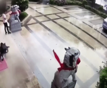 Bewegter Picturedump 491