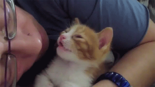 Bewegter Picturedump 252