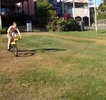 Bewegter Picturedump 252