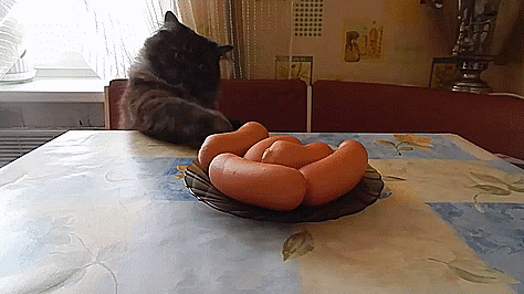 Bewegter Picturedump 361