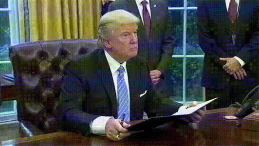 Bewegter Picturedump 361