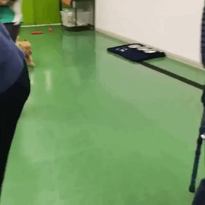 Bewegter Picturedump 361