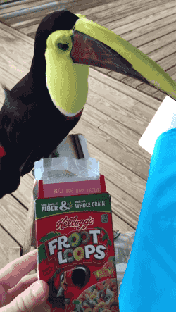 Bewegter Picturedump 361