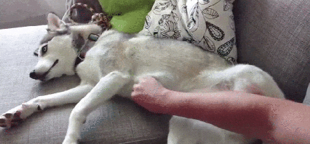 Bewegter Picturedump 361