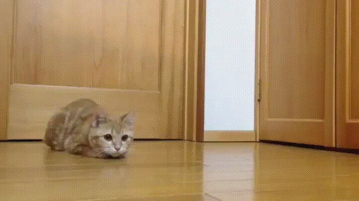 Bewegter Picturedump 361