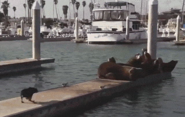 Bewegter Picturedump 426