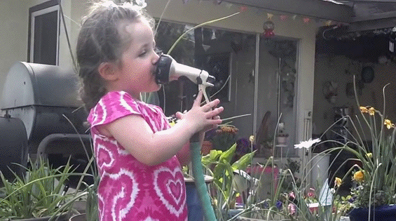 Bewegter Picturedump 426