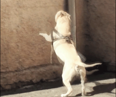 Bewegter Picturedump 426