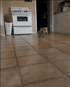 Bewegter Picturedump 213