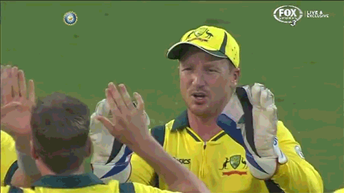 Bewegter Picturedump 287