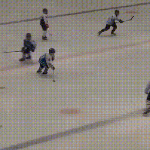 Bewegter Picturedump 287