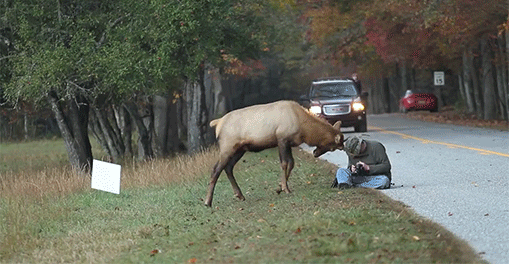 Bewegter Picturedump 287