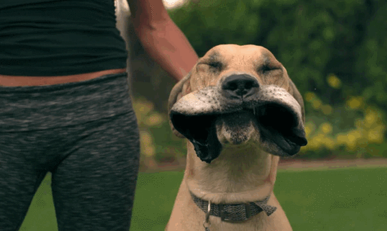 Bewegter Picturedump 287