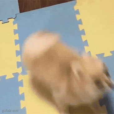 Bewegter Picturedump 287