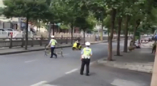 Bewegter Picturedump 348