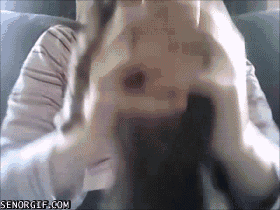 Bewegter Picturedump 348