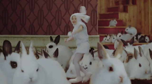 Bewegter Picturedump 348