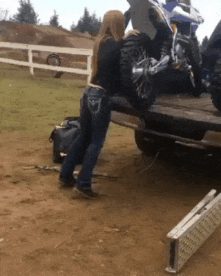 Bewegter Picturedump 461