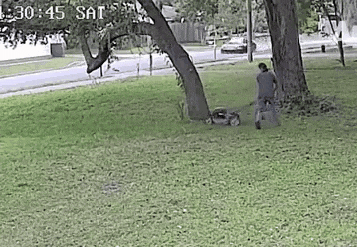 Bewegter Picturedump 461