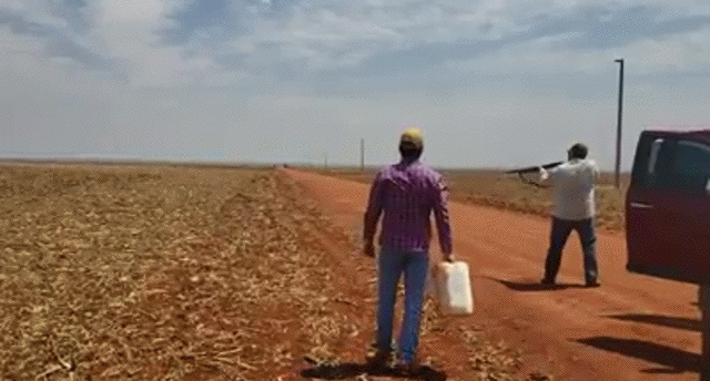 Bewegter Picturedump 461