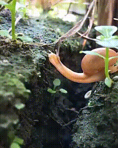 Bewegter Picturedump 461