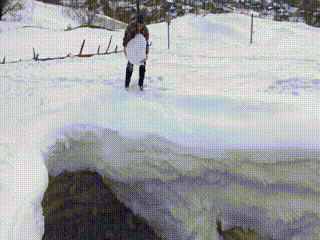 Bewegter Picturedump 461