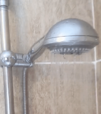 Bewegter Picturedump 461