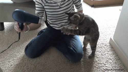 Bewegter Picturedump 461