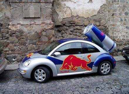 Kuriose und Coole Käfer