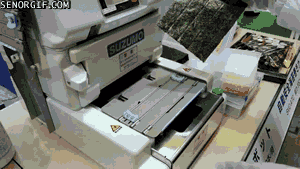 Bewegter Picturedump 111