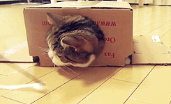 Bewegter Picturedump 119
