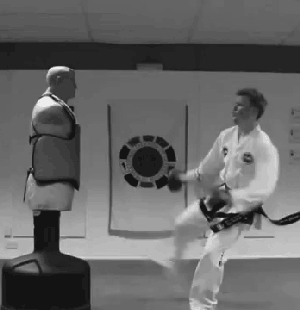 Bewegter Picturedump 137 / Bild 13 Bewegter Picturedump 137