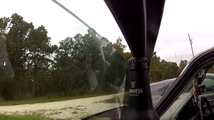 Bewegter Picturedump 138 / Bild 17 Bewegter Picturedump 138