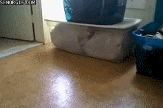 Bewegter Picturedump 139