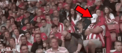 Bewegter Picturedump 139