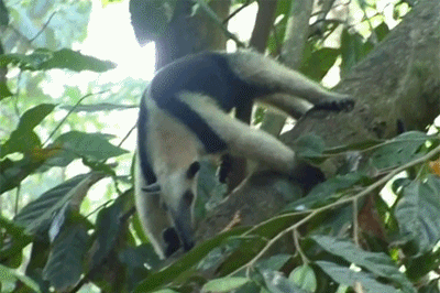 Bewegter Picturedump 152