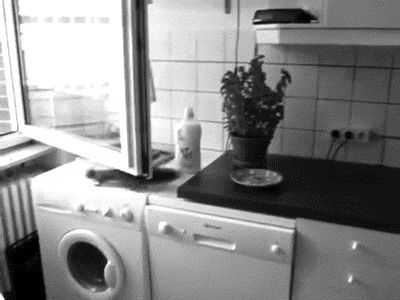 Bewegter Picturedump 162