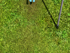 Bewegter Picturedump 171