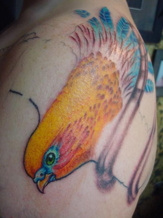 Total verrückte Tattoos