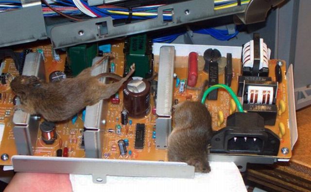 Total verdreckte Computer