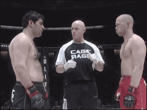 Bewegter Picturedump 12