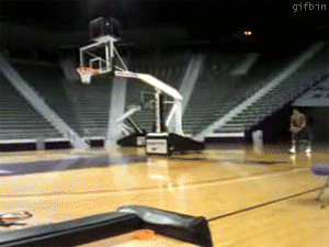 Bewegter Picturedump 12